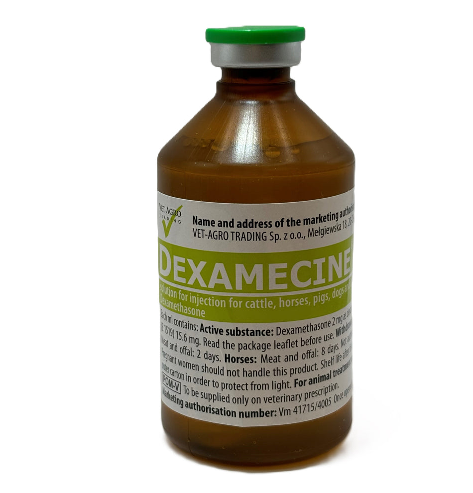 Dexamecine 2 mg/ml Solution for Injection 100ml